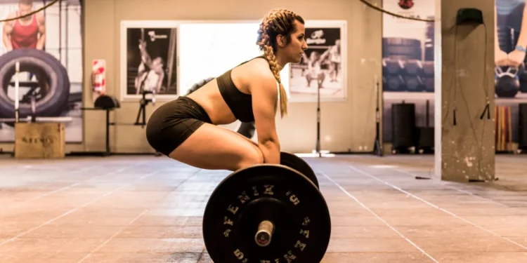 ددلیفت هالتر