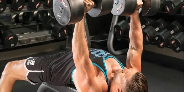 5 تمرین انفجاری برای تقویت عضلات سینه با دمبل